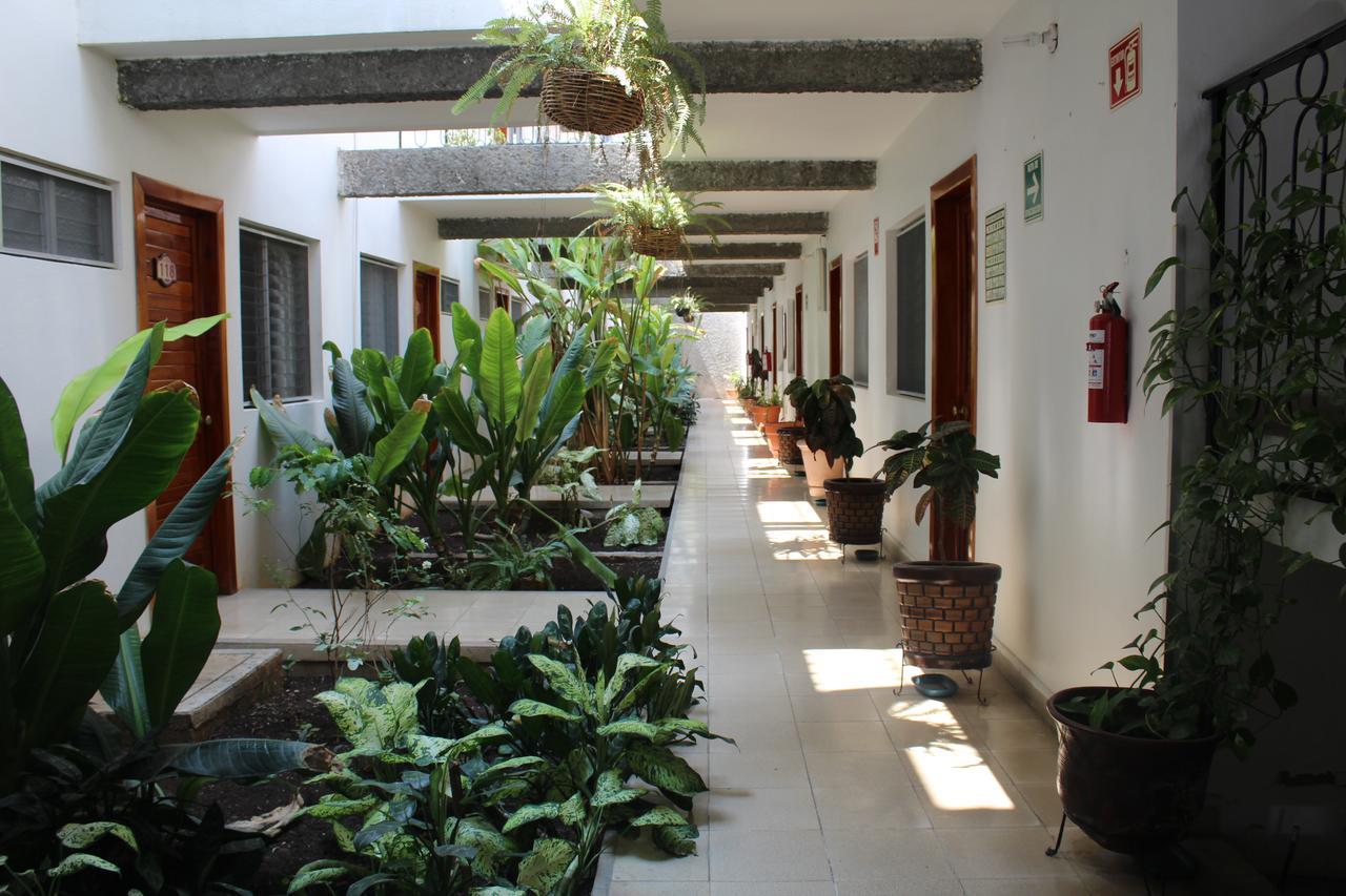 Hotel Casablanca Tuxtla Tuxtla Gutiérrez Dış mekan fotoğraf